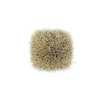 24mm Gelousy SHD Fan 2 Band Badger Knot (A1) | Shaving Brush Knot | AP Shave Co.